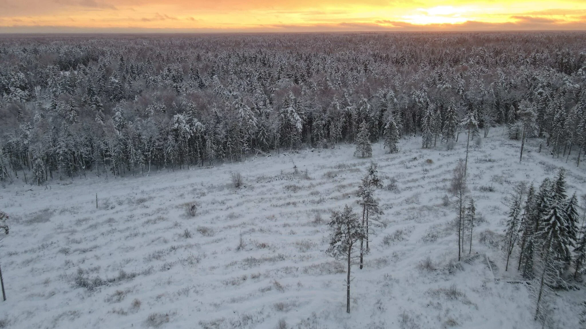 Tulusad valikud metsade ja põldude majandamiseks