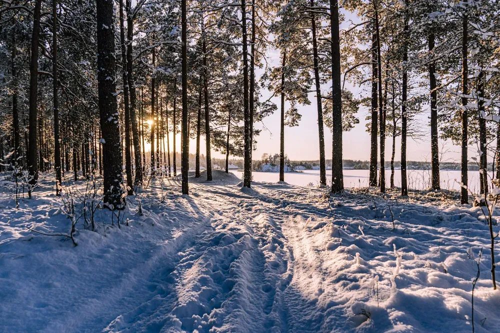 Kivimäe Põhikool saab uue õppehoone ja spordikompleksi